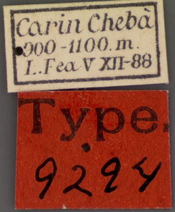 Media type: image; Entomology 9294   Aspect: labels 2